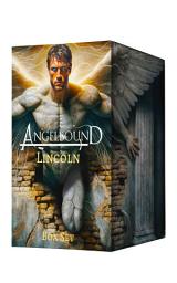 Icon image Lincoln Collection: The story of Angelbound from Lincoln's point of vieww