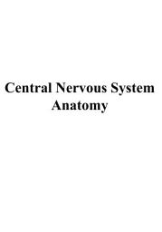 Icon image Central Nervous System Anatomy