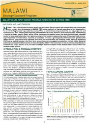 Icon image Malawi's farm input subsidy program: Where do we go from here?