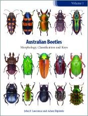 Icon image Australian Beetles Volume 1: Morphology, Classification and Keys