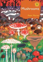 Icon image Mushrooms: The natural and human world of British fungi