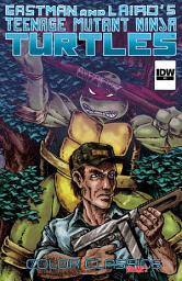 Icon image Teenage Mutant Ninja Turtles Color Classics Vol. 2 #1