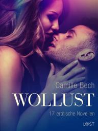 Icon image Wollust - 17 erotische Novellen