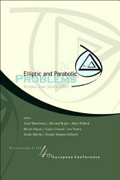 Icon image Elliptic And Parabolic Problems, Proceedings Of The 4th European Conference