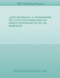 Icon image ¿En qué se diferencia la transmisión de la política monetaria en los países que dependen de las remesas?