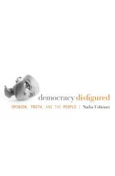 Icon image Democracy Disfigured