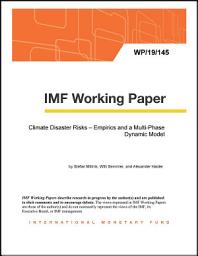 Icon image Climate Disaster Risks – Empirics and a Multi-Phase Dynamic Model