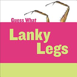 Icon image Lanky Legs: Praying Mantis: Read Along or Enhanced eBook