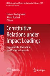 Icon image Constitutive Relations under Impact Loadings: Experiments, Theoretical and Numerical Aspects