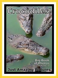 Icon image Just Crocodiles & Alligators! vol. 1: Big Book of Photographs & Crocodile and Alligator Pictures