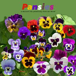 Icon image Pansies