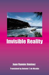 Icon image Invisible Reality