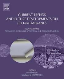 Icon image Current Trends and Future Developments on (Bio-) Membranes: Silica Membranes: Preparation, Modelling, Application, and Commercialization