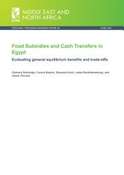 Icon image Food subsidies and cash transfers in Egypt: Evaluating general equilibrium benefits and trade-offs