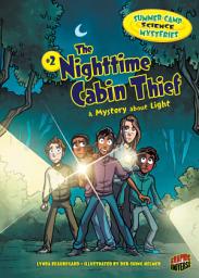 Icon image The Nighttime Cabin Thief: A Mystery about Light