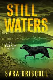 Icon image Still Waters: A Riveting Novel of Suspense