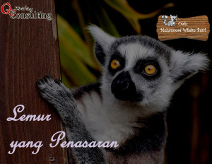 Icon image Lemur yang Penasaran