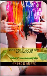 Icon image Eine Nacht unter dem Regenbogen: Erotische Transgendergeschichte