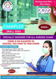 Icon image Nursing Small Wins - 2022