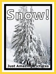 Icon image Just Snow! vol. 2: Big Book of Snowy Winter Weather Snowing Cold Snow Photographs & Pictures