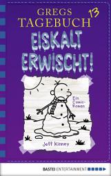 Icon image Gregs Tagebuch 13 - Eiskalt erwischt!