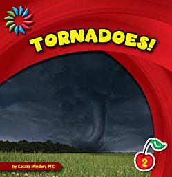 Icon image Tornadoes!