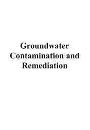 Icon image Groundwater Contamination and Remediation