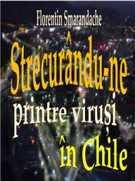 Icon image Strecurându-ne printre viruși în Chile