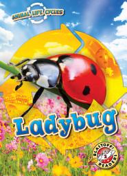 Icon image Ladybug: Animal Life Cycles