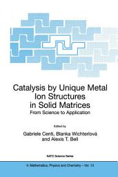 Icon image Catalysis by Unique Metal Ion Structures in Solid Matrices: From Science to Application