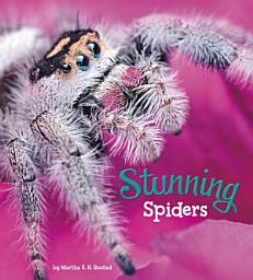 Icon image Stunning Spiders