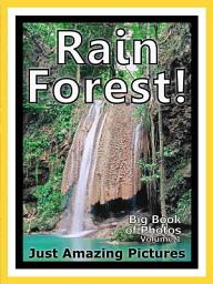 Icon image Just Rainforests! vol. 1: Big Book of Rainforest Jungle Photographs & Pictures