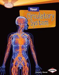 Icon image Your Circulatory System