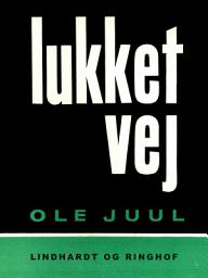 Icon image Lukket vej