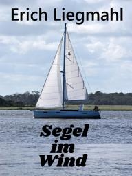 Icon image Segel im Wind