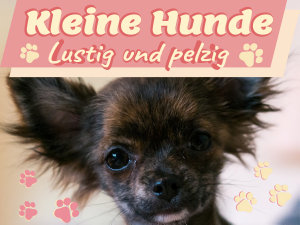 Icon image Kleine Hunde: Lustig und pelzig