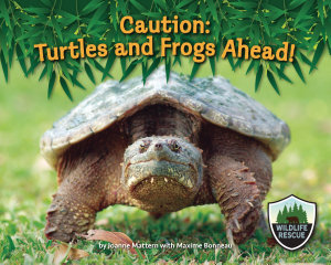 Icon image Caution: Turtles and Frogs Ahead!