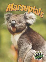 Icon image Marsupials