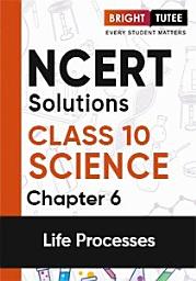 Icon image NCERT Solutions for Class 10 Science Chapter 6 Life Processes