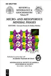 Icon image Micro- and Mesoporous Mineral Phases