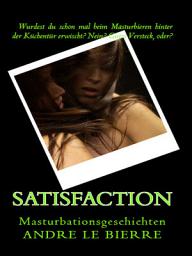 Icon image Satisfaction: Masturbationsgeschichten