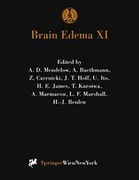 Icon image Brain Edema XI: Proceedings of the 11th International Symposium, Newcastle-upon-Tyne, United Kingdom, June 6–10, 1999