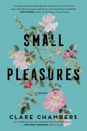 Icon image Small Pleasures: A Novel