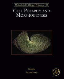 Icon image Cell Polarity and Morphogenesis