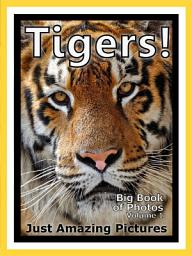 Icon image Just Tigers! vol. 1: Big Book of Tiger Photographs & Pictures