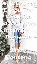 Icon image Wife Chance Encounter The Black Erotic Interracial Romance