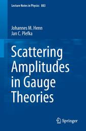 Icon image Scattering Amplitudes in Gauge Theories