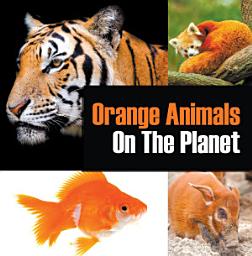 Icon image Orange Animals On The Planet: Animal Encyclopedia for Kids