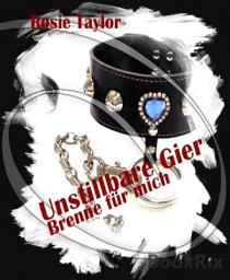 Icon image Unstillbare Gier - Brenne für mich