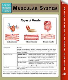 Icon image Muscular System (Speedy Study Guides)